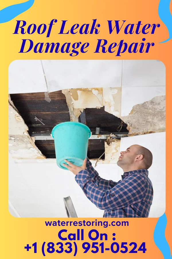 Roof Leak Water Damage Repair in London, CA